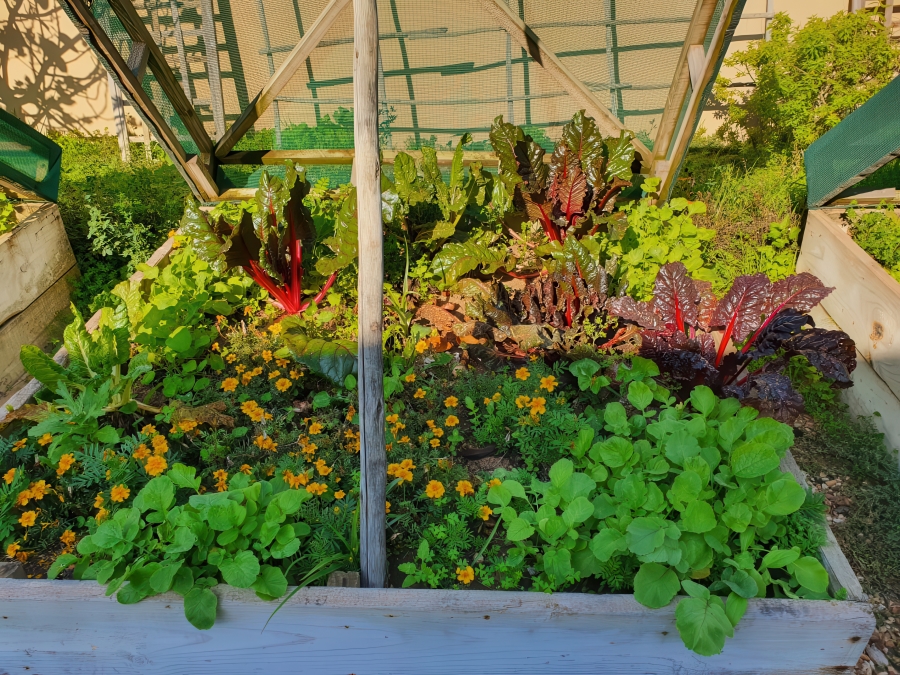 4 Bedroom Property for Sale in Myburgh Park Western Cape